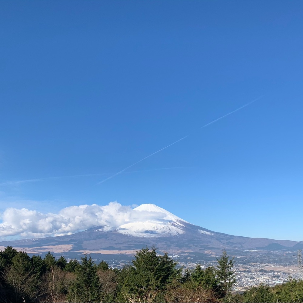 Meet your Posher, Thomas